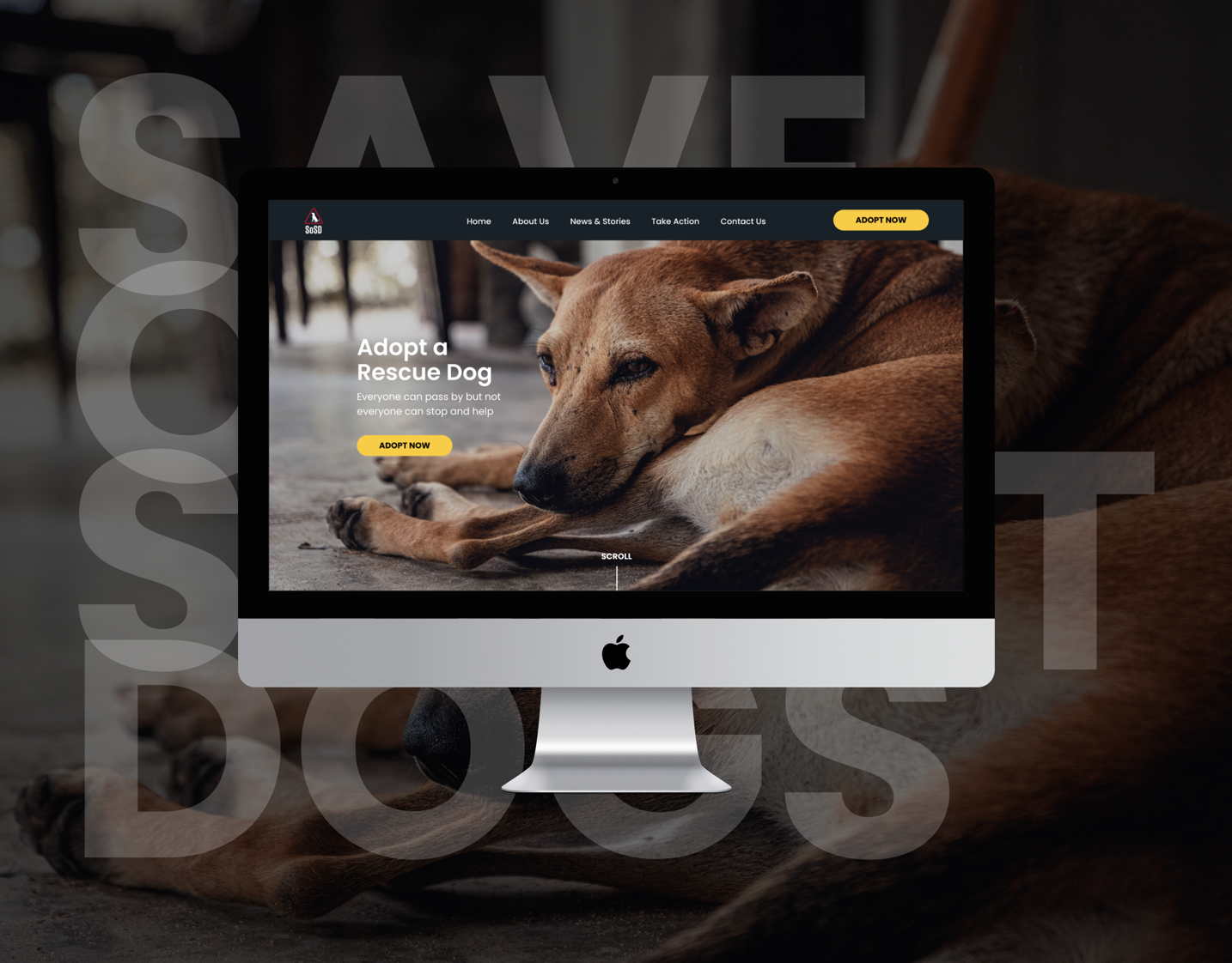 SOSD UI UX Design